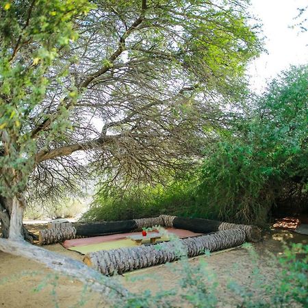 Negev Camel Ranch Villa Димона Екстериор снимка