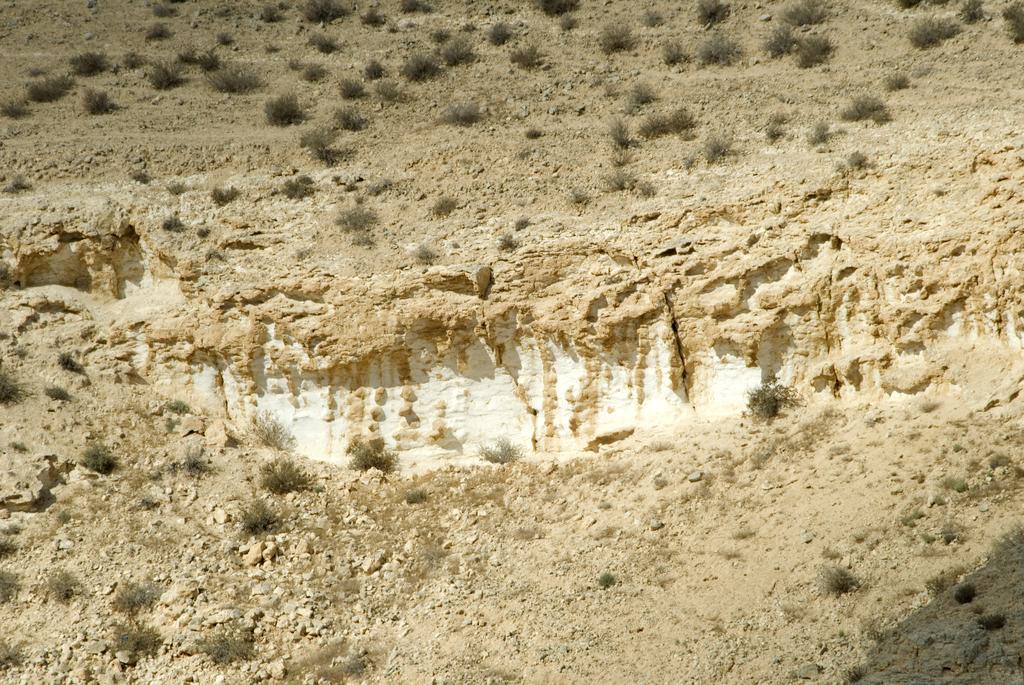 Negev Camel Ranch Villa Димона Екстериор снимка