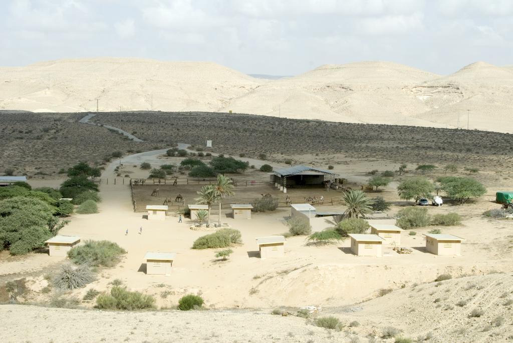 Negev Camel Ranch Villa Димона Екстериор снимка