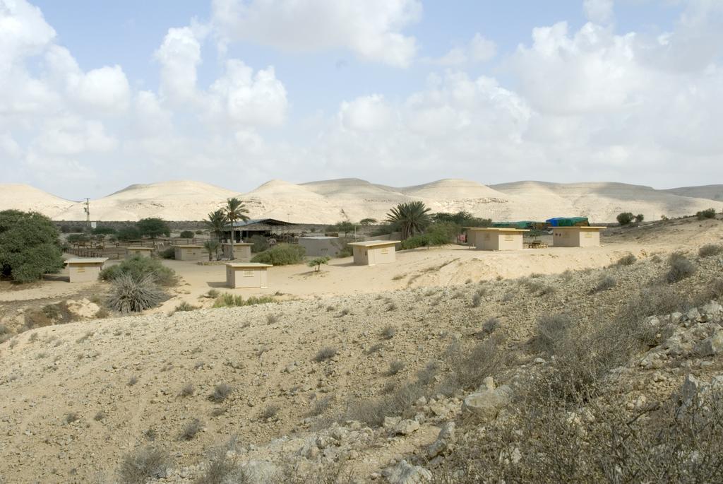 Negev Camel Ranch Villa Димона Екстериор снимка