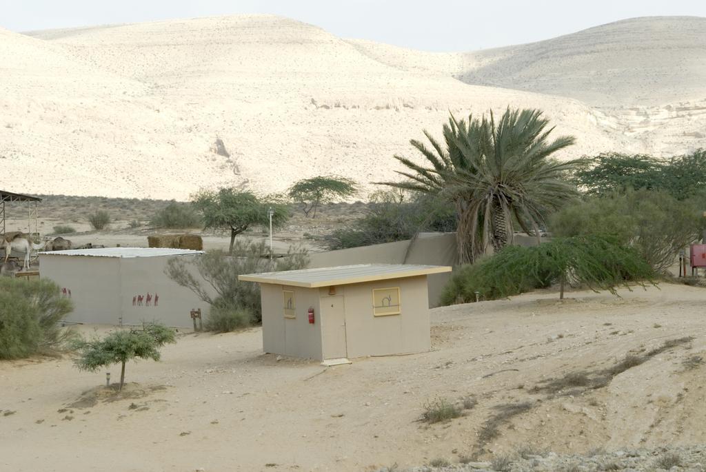 Negev Camel Ranch Villa Димона Екстериор снимка