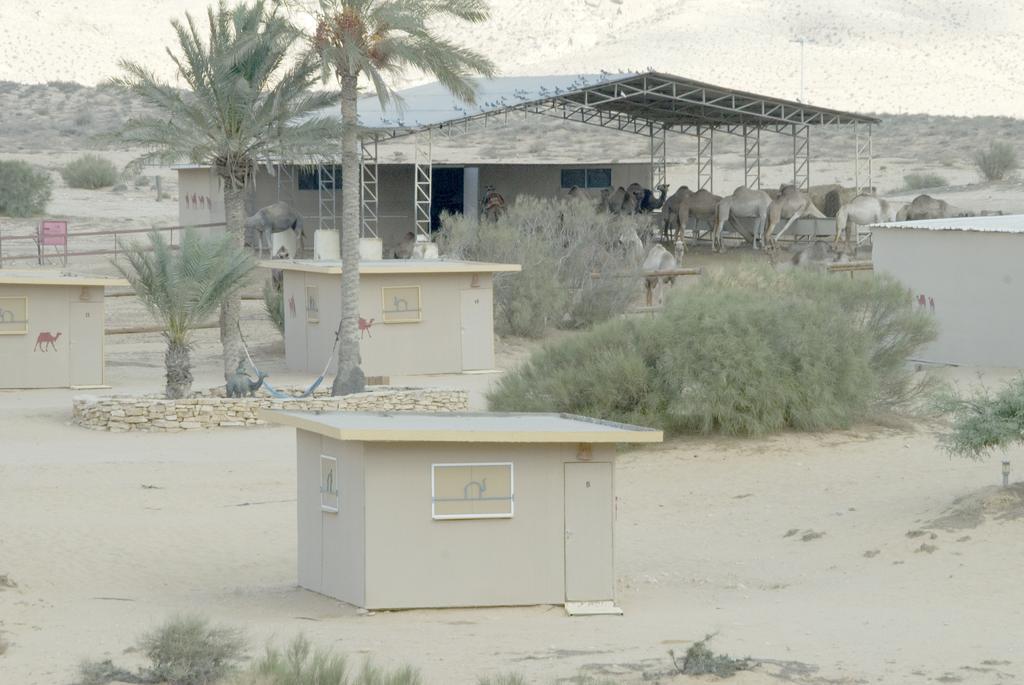 Negev Camel Ranch Villa Димона Екстериор снимка