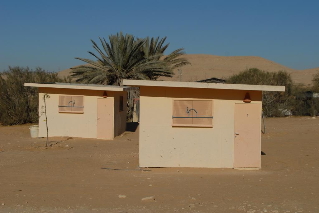 Negev Camel Ranch Villa Димона Екстериор снимка