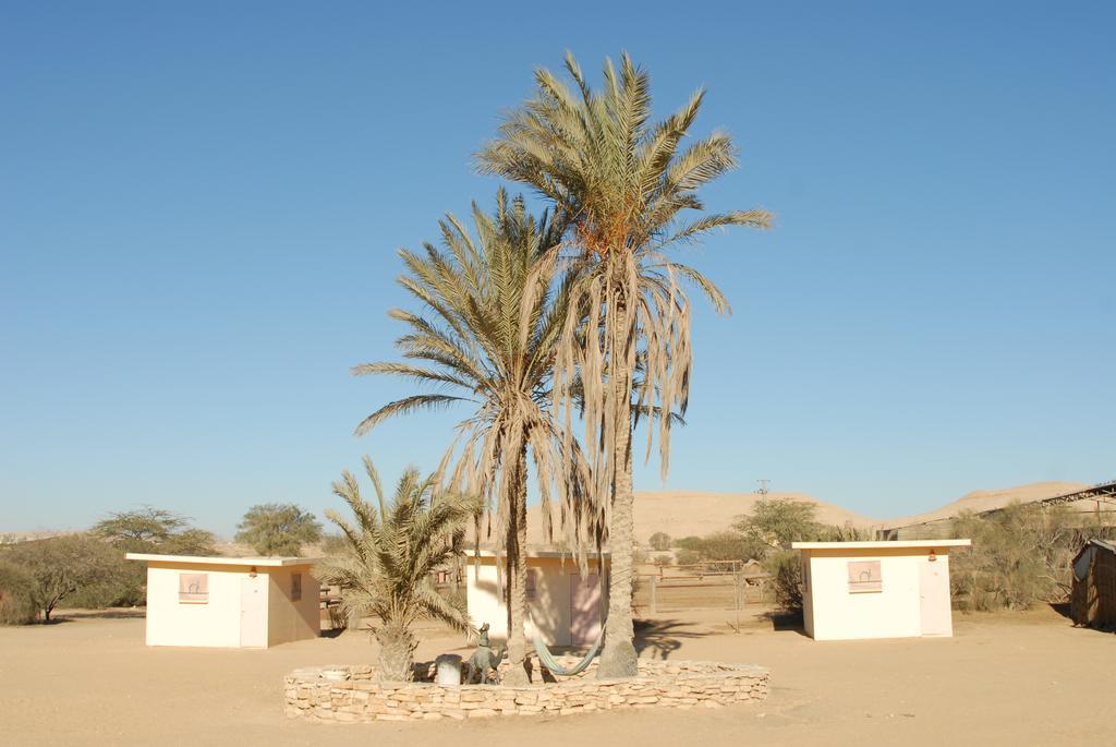 Negev Camel Ranch Villa Димона Екстериор снимка