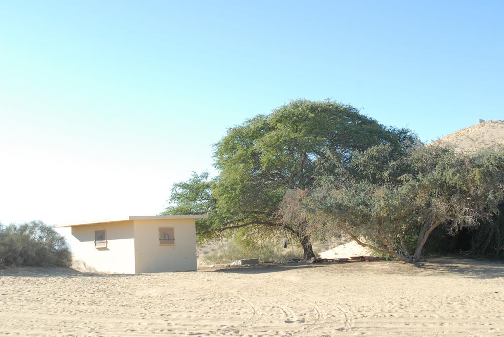 Negev Camel Ranch Villa Димона Стая снимка