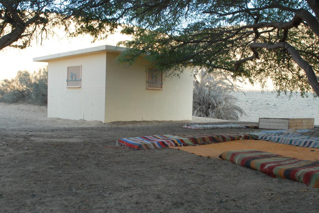 Negev Camel Ranch Villa Димона Екстериор снимка