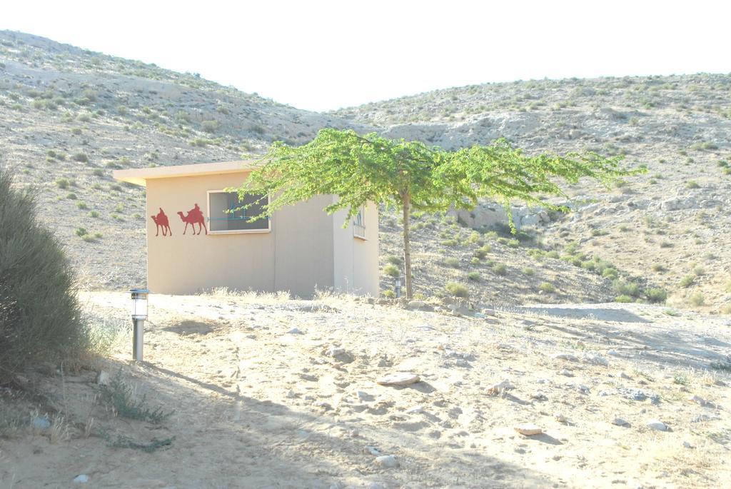 Negev Camel Ranch Villa Димона Екстериор снимка