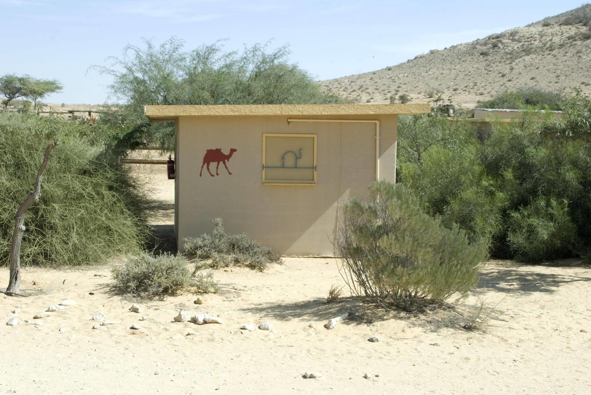 Negev Camel Ranch Villa Димона Екстериор снимка