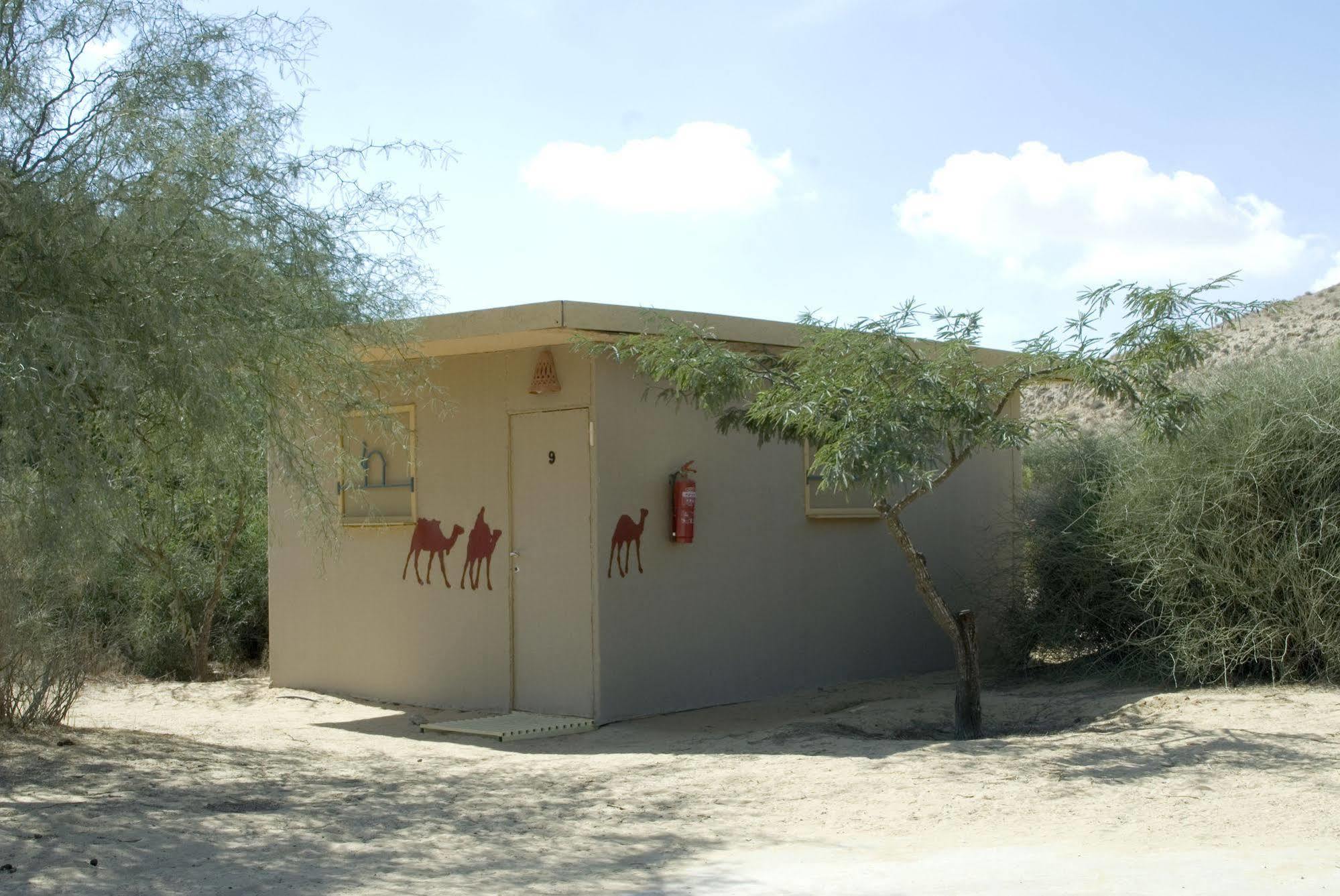 Negev Camel Ranch Villa Димона Екстериор снимка