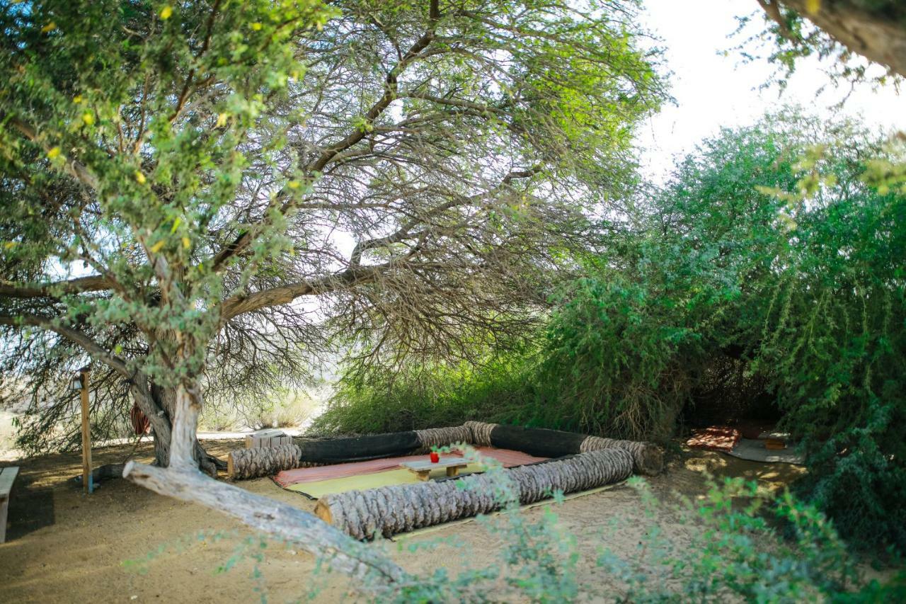 Negev Camel Ranch Villa Димона Екстериор снимка