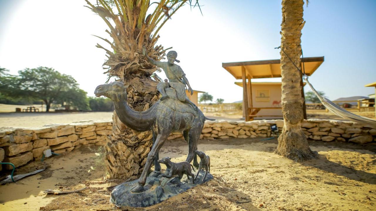 Negev Camel Ranch Villa Димона Екстериор снимка