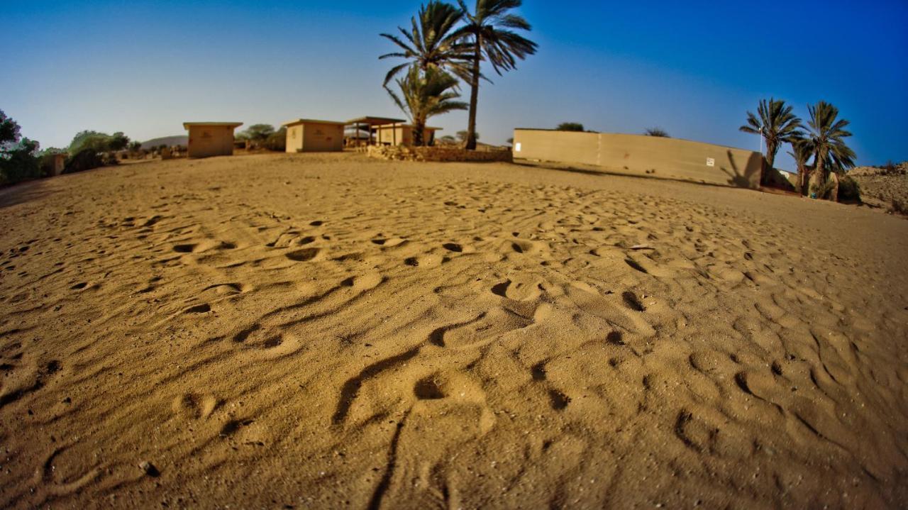 Negev Camel Ranch Villa Димона Екстериор снимка