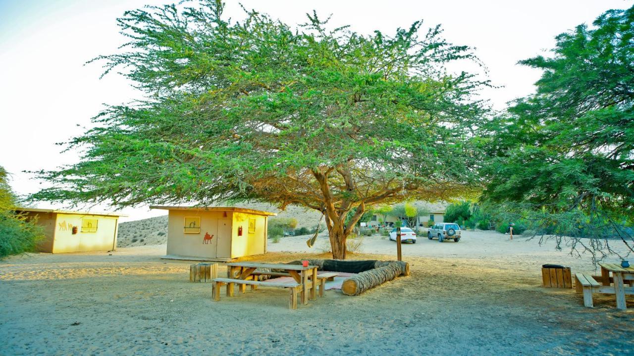 Negev Camel Ranch Villa Димона Екстериор снимка